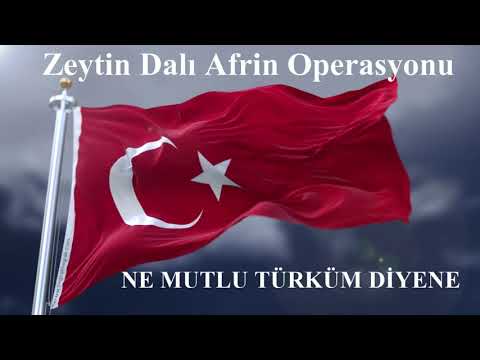 Bayrak Şiiri  /   Şiir:Arif Nihat Asya