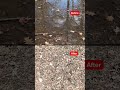 Montclair's garbage glacier gets cleaned up