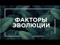 Факторы эволюции | ЕГЭ Биология | Даниил Дарвин