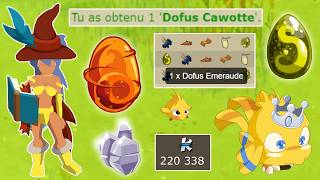 L'AVENTURE DOFUS RETRO MONOCOMPTE SAISONNIER - JOUR 5