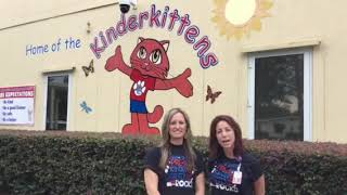 Welcome Open House 2019 Hall and Jones