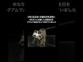 れんゆなカップル破局 2年8ヶ月の順調交際から突然の破局報告 今日好き Shorts れんゆなカップル破局 2年8ヶ月の順調交際から突然の破局報告 今日好き Shorts