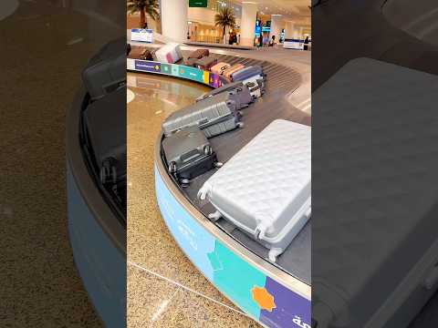 Jeddah International Airport Saudi Arabia Beautiful Baggage System Luggage