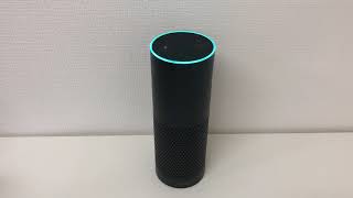 「ANA」編#1 ～Amazon Echoの全Alexaスキル調査PJ～