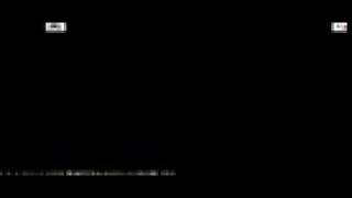 Araxis Merge Demo Automerge機能