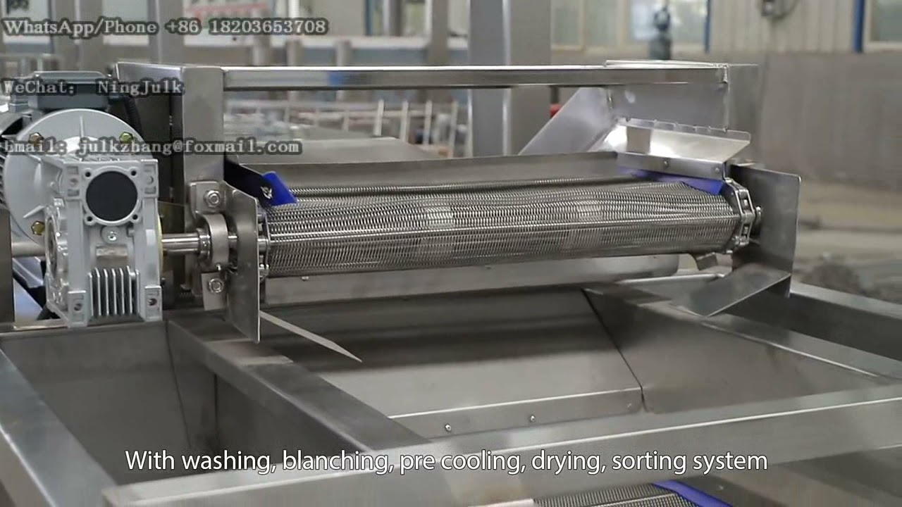 Broccoli Cauliflower Washing Blanching Line Vegetables Process Machine