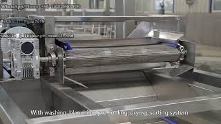 Broccoli Cauliflower Washing Blanching Line Vegetables Process Machine