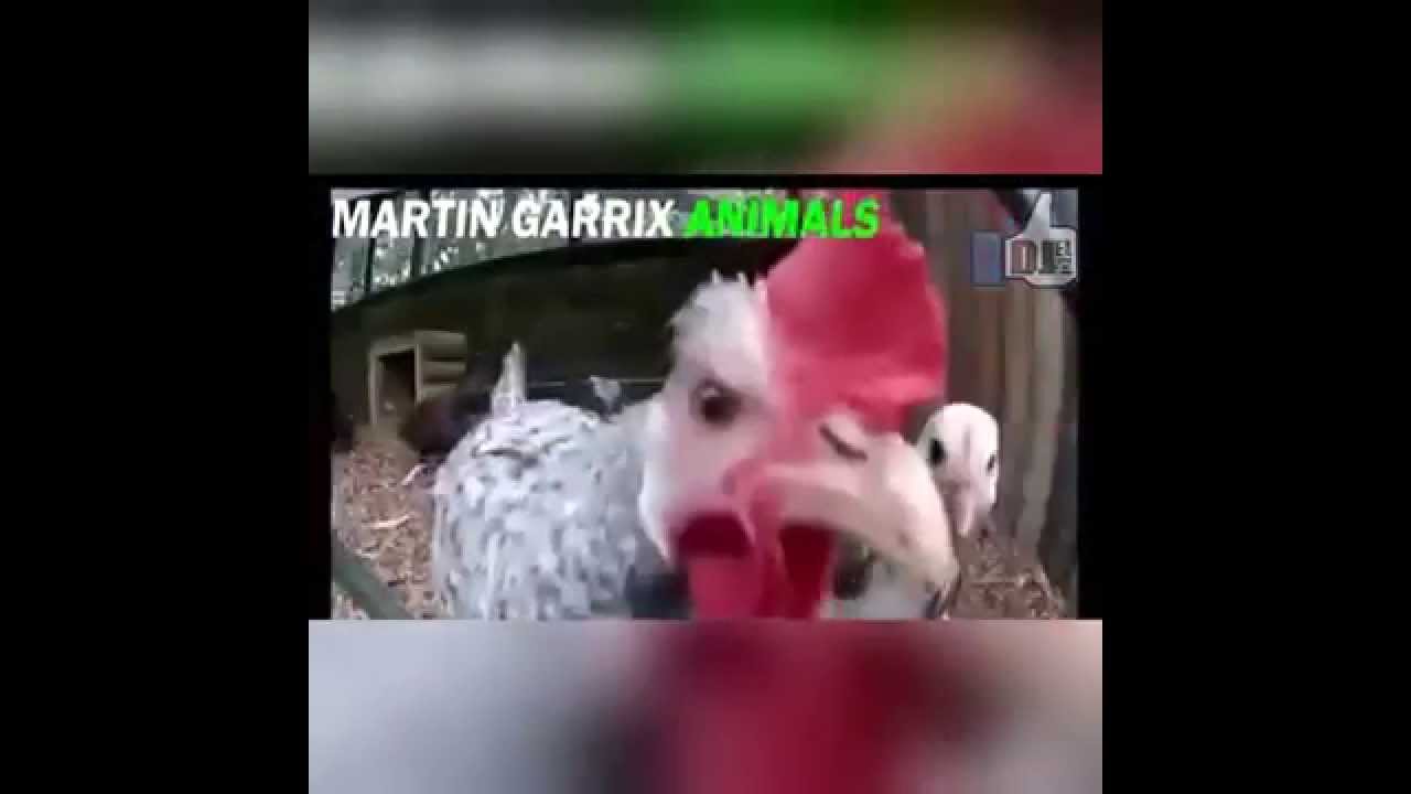 Animals - Martin Garrix - YouTube Jhonny Ortiz LMTV