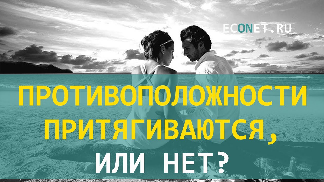 Противоположности притягиваются или нет | ECONET.RU