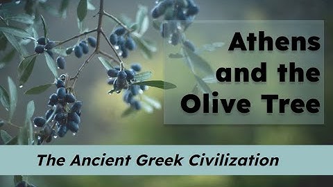 CKLA Grade 2 Domain 3 Lesson 6 Athens and the Olive Tree