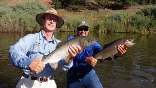 Rainbow Falls Mountain Trout....Stocking Day Aug 30, 2014