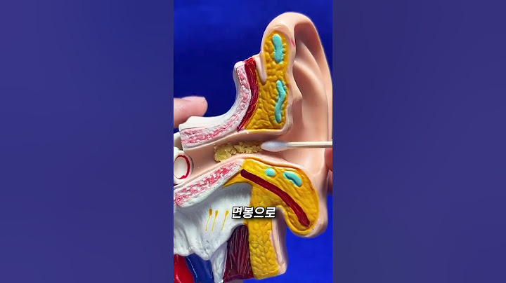 귀 팔 때마다 쾌감 쩌는 이유 ㄷㄷ