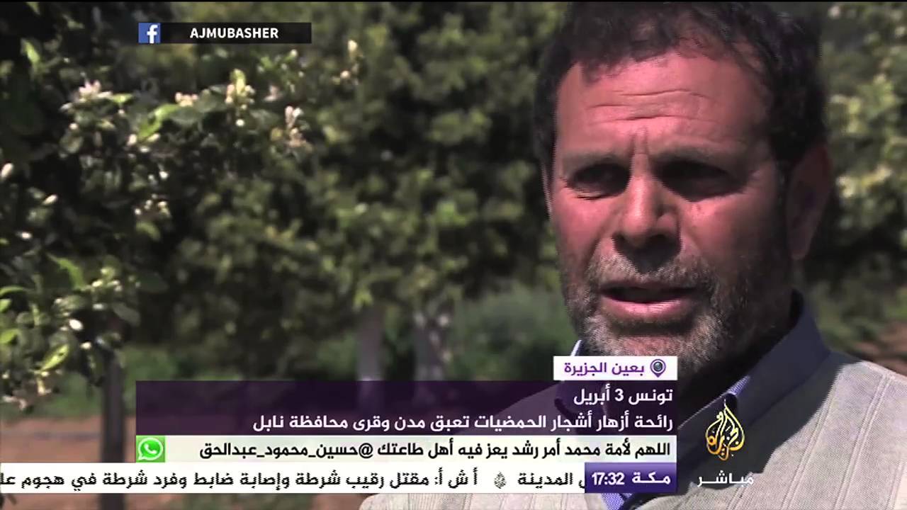 ‫#‏شاهد‬ مظاهر الاحتفال بموسم جني زهر البرتقال وتقطيره في ‫#‏تونس‬
