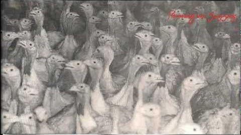 Running With Scissors - Piss