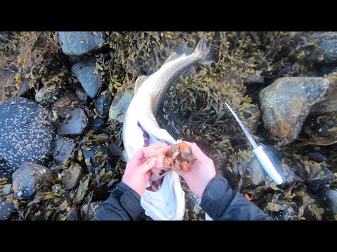 Video: Hvordan Velge Et Lokke For Fiske På Grunt Vann