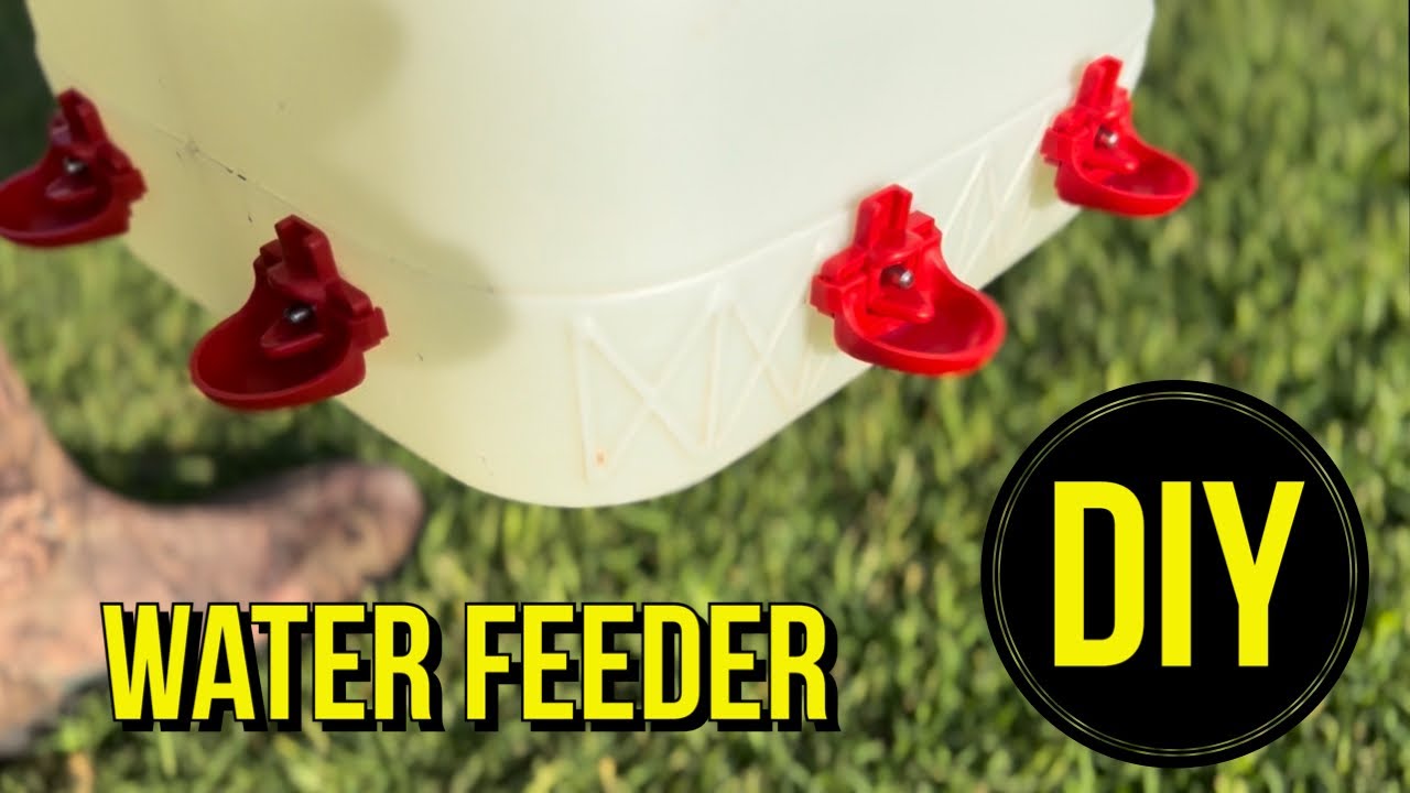 DIY - Chicken Water Feeder - Super Easy - YouTube