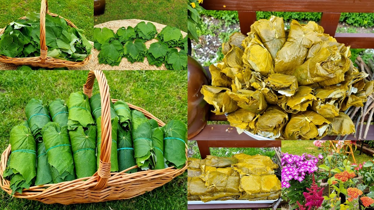 روتين تحدي الكسل رغم أنف الإجازة 👊 حضرت مونة ورق العنب مع ضمان طراوة الورق ولونو،كيف كفيت نهاري🥰