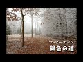 【Vocaloid】銀色の道 ~ザ・ピーナッツ