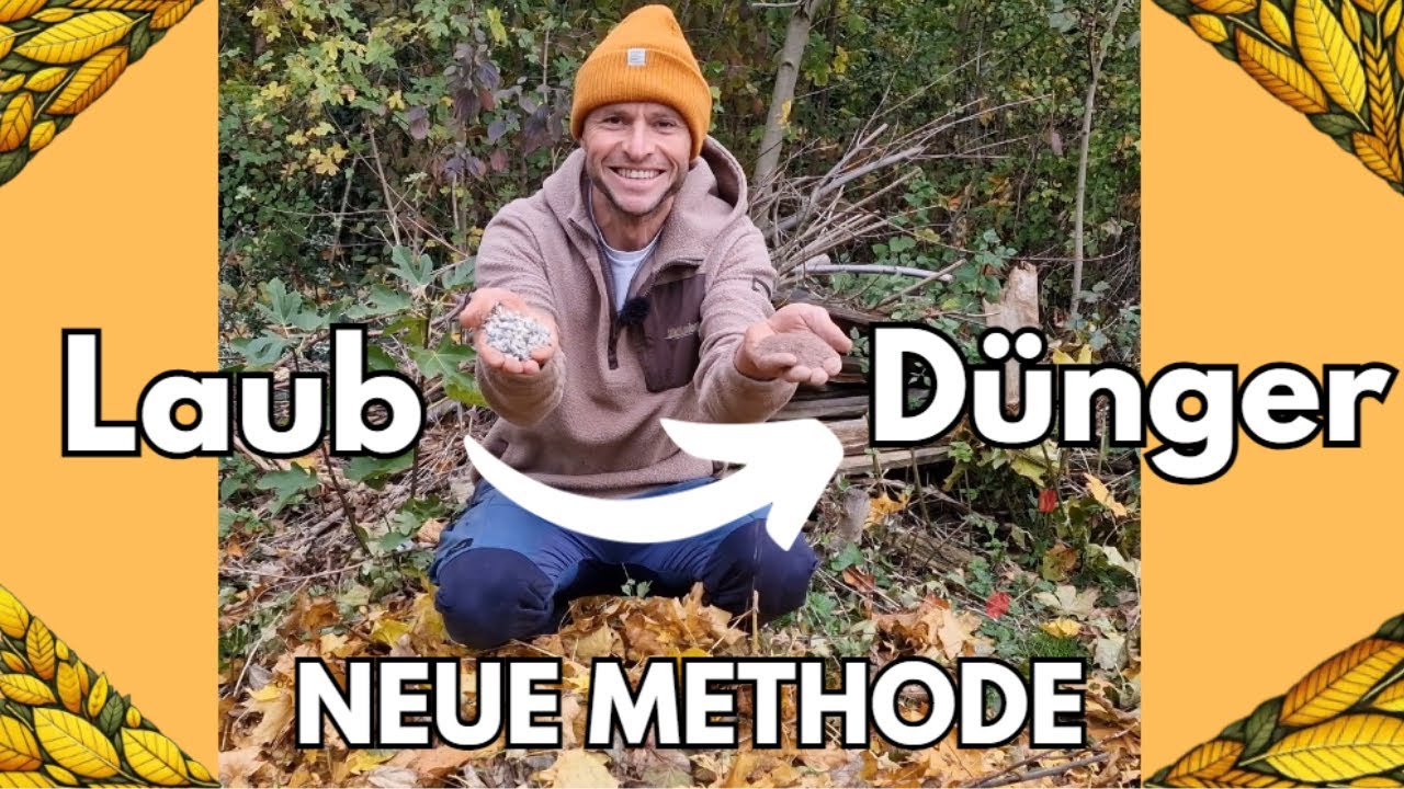 Ich wnschte, ich htte das frher gewusst So verwandelt man Laub in  Superdnger!