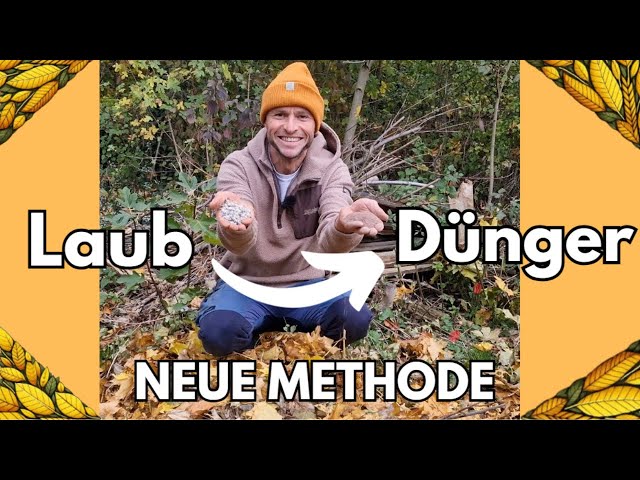 buchsbaum düngen wann Buchsbaum Dünger Langzeitwirkung main image 0