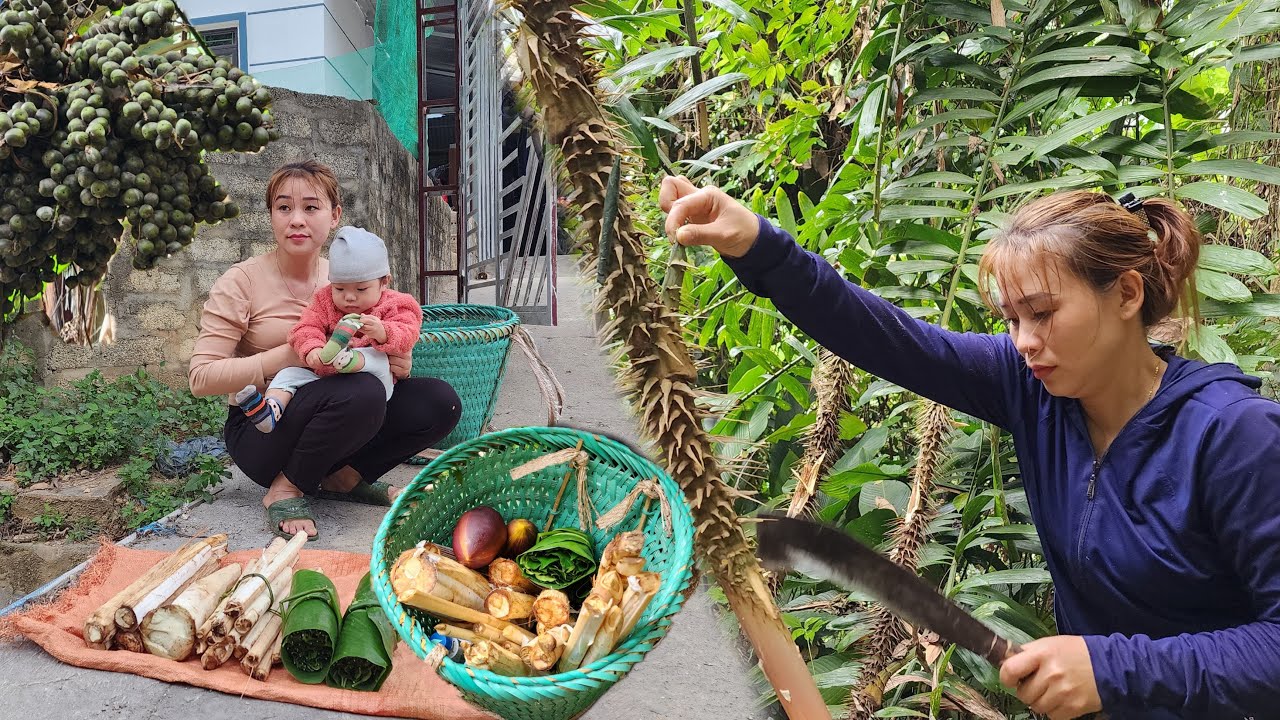 Single Mother - Harvest Food in the forest to sell at the market ...