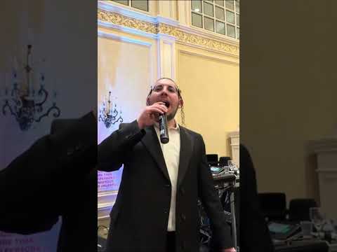 ✨ Beri Weber Sets the Stage on Fire – Wedding Live!