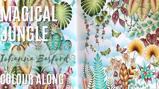Celebrity Colour Along | Magical Jungle by Johanna Basford | Part 3 Net Worth