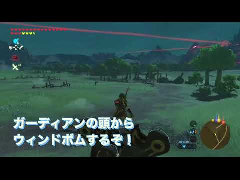 ガーディアンの頭からウィンドボムしてみた！