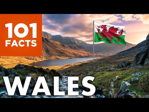 Видео: Уэльс ямар эрх мэдэлтэй вэ?