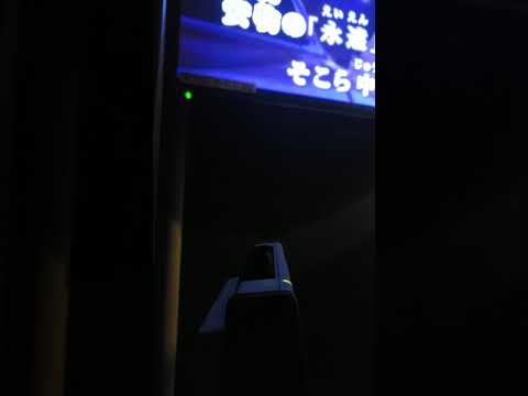 春を愛する人！