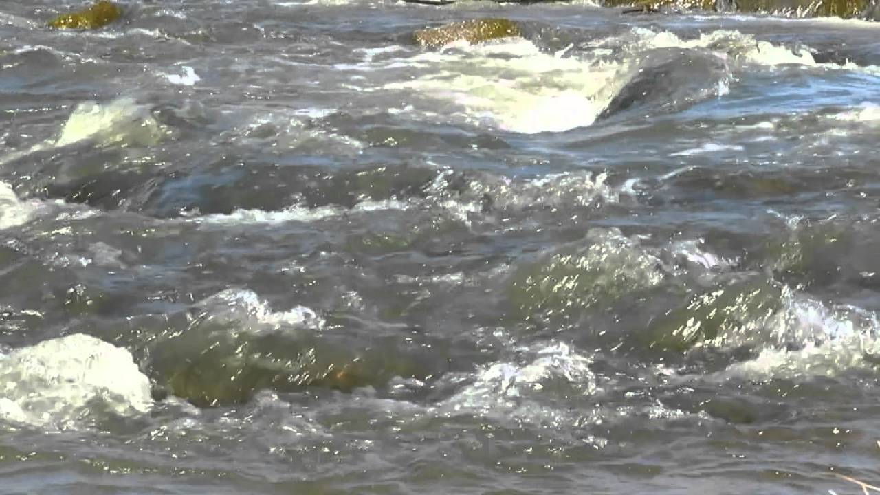 video phone beyonce mp3 ASMR Binaural Sound Assortment With Kinetic Water 30 mins