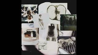 Download Lagu lilac.mp3 MP3