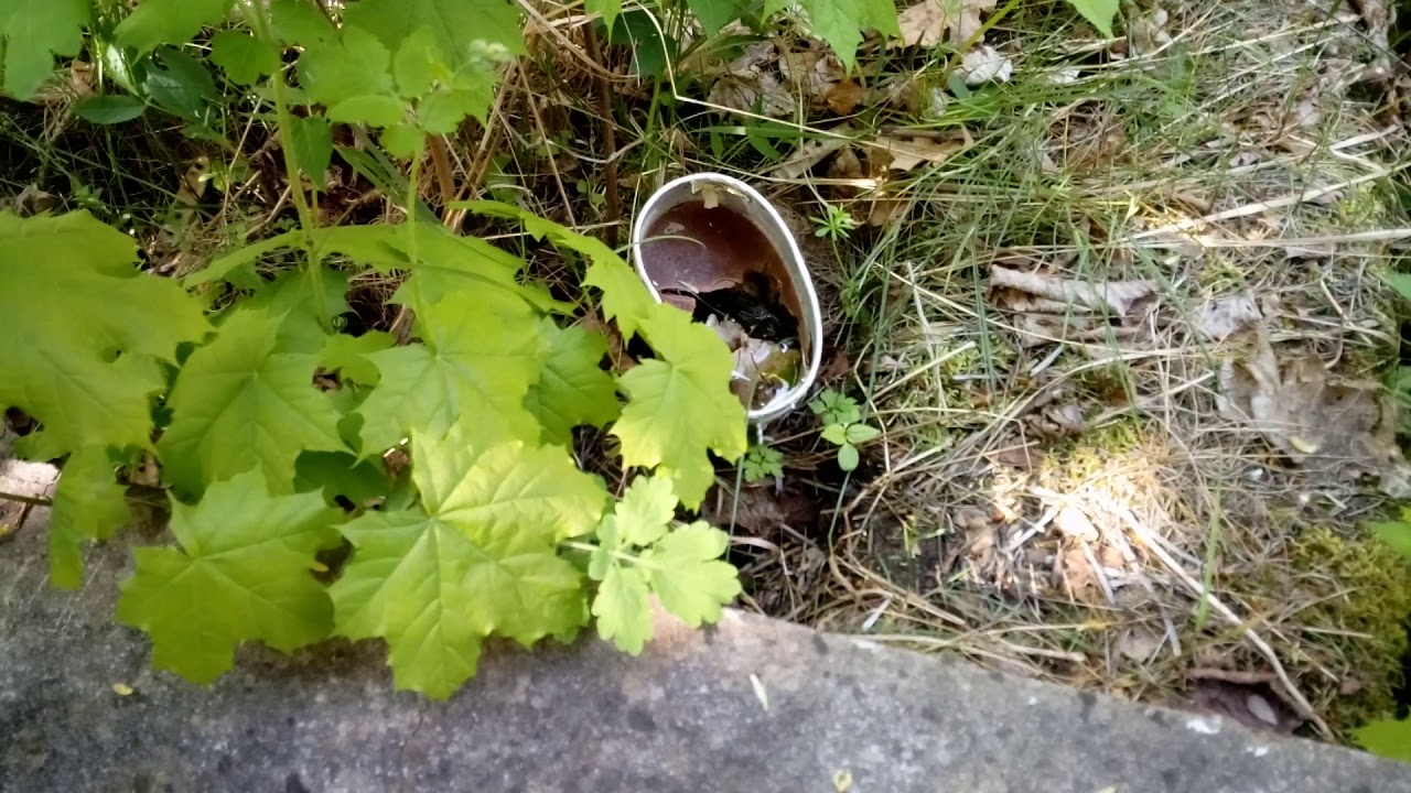 Фюрстенберг, Fürstenberg - 08.05.2019