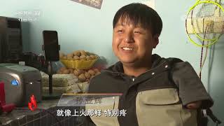 《道德观察(日播版)》 20210104 用筷子敲键盘的主播| CCTV社会与法