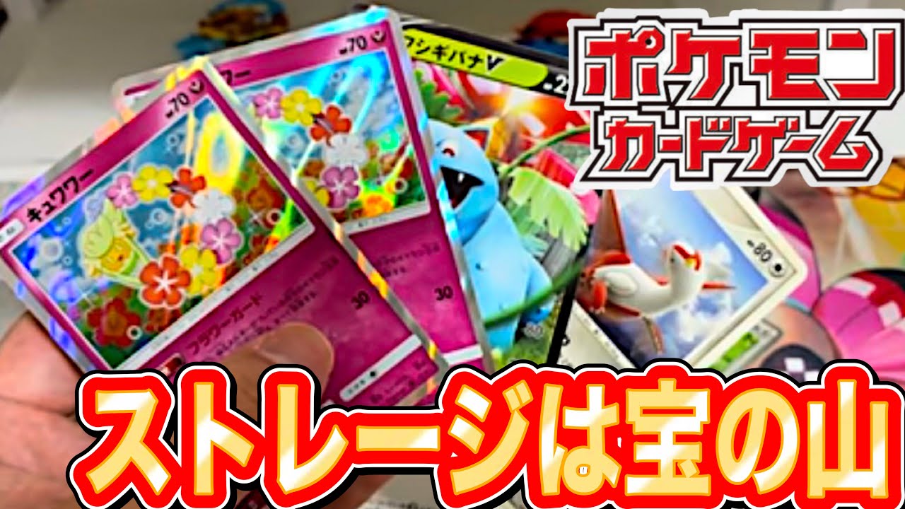 Pokémon Cards] A Treasure Trove of Storage Finds: Cards with Huge