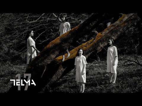 TELMA - Seventeen