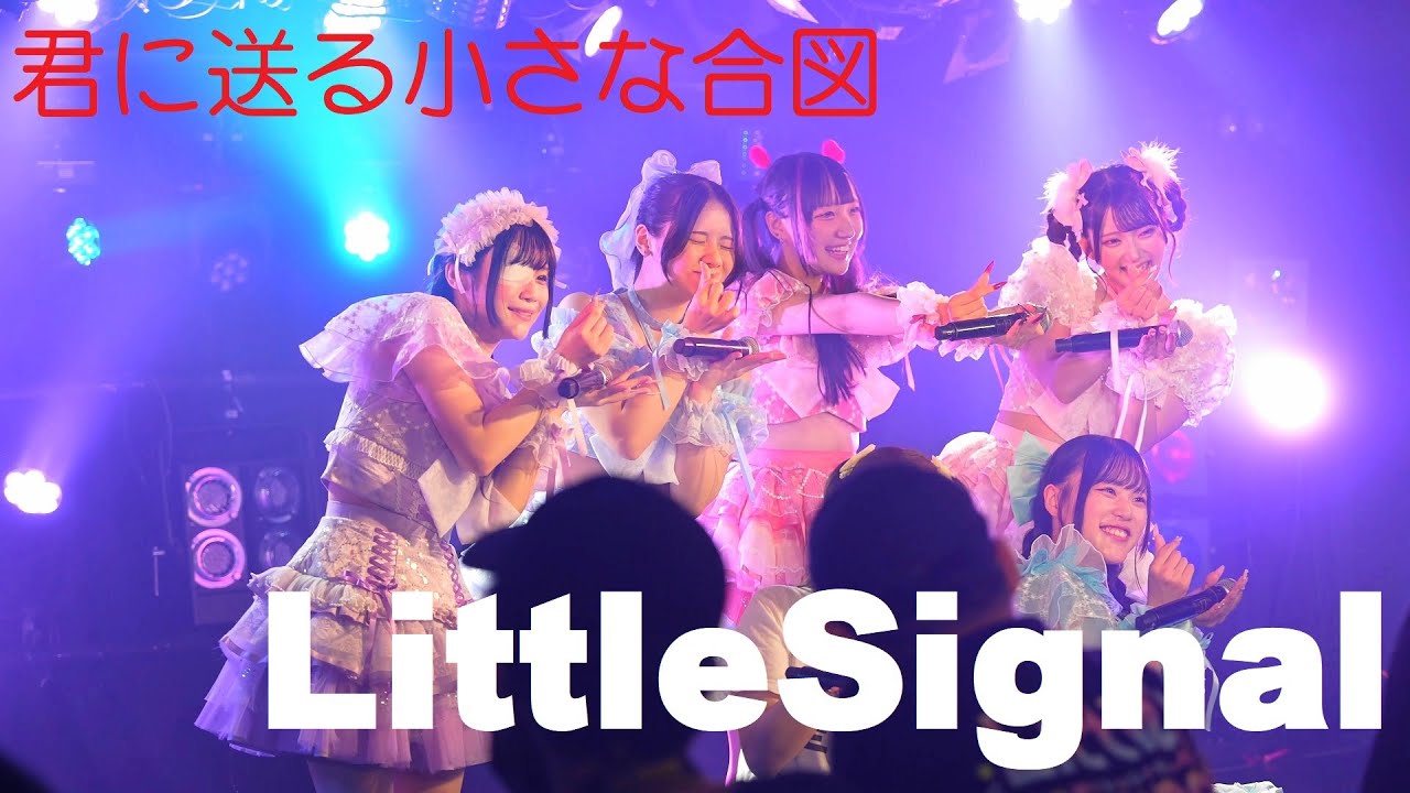 LittleSignal 2025.08.12 新宿Zirco Tokyo【4K/60P】