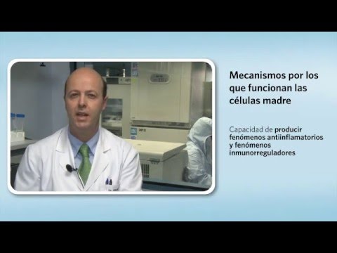 Vídeo: Terapias Mesenquimales Basadas En Células Madre En Medicina Regenerativa: Aplicaciones En Reumatología