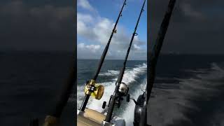 2021 Nauticstar 2302 legacy - palm city / Stuart Florida