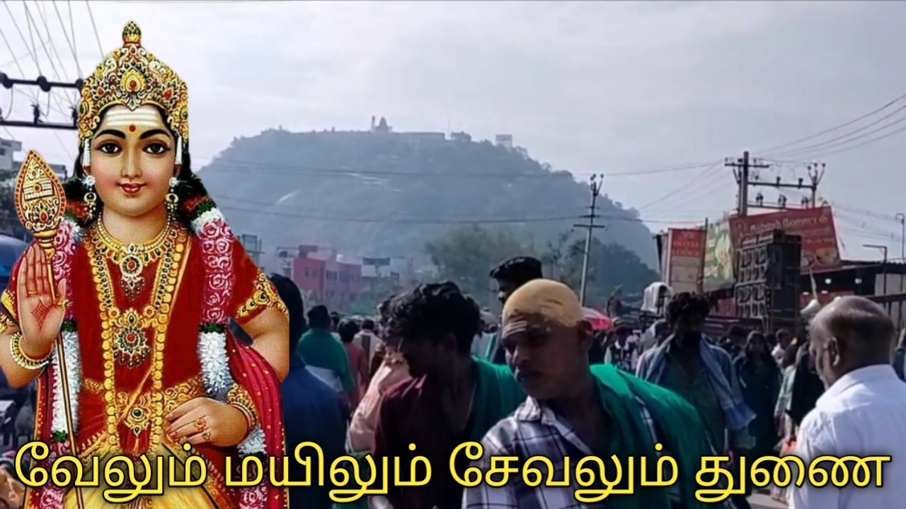 🙏பழனி தைப்பூசம்/palani thaipusam/palani murugan temple