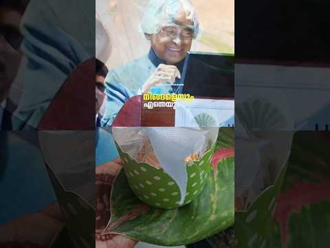 🥰🥰🥰🥰🥰😍 #trending #gift #birthdaycelebration #chocolate #viral #aibussandaiduss