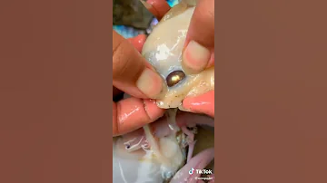 Жемчуг в ракушке... Pearls in a shell