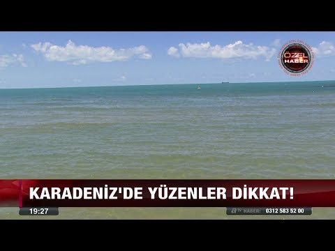 Karadeniz'de yüzenler dikkat! - 6 temmuz 2017