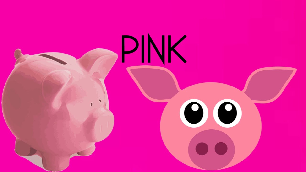 Rainbow Colors For Kids | Learn The Colors Song | Shon's Stories