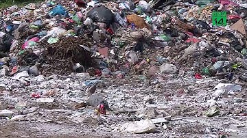 Người dân dừng chặn xe vào bãi rác lớn nhất Hà Nội | VTC14