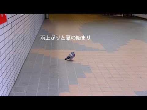 【オリジナル曲作った】雨上がりと夏の始まり