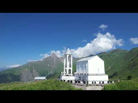 ვიდეო: მოკლავს თუ არა სარეველების ბლოკატორი ბალახს?