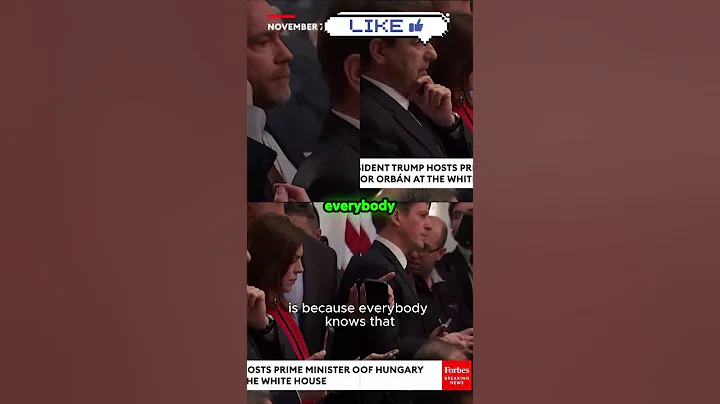 Karolline Leavitt Admonishes Reporters During Trump's Meeting With Viktor Orbán