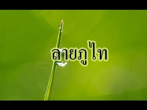 ลายภูไท ของ อ.ทองใส ทับถนน