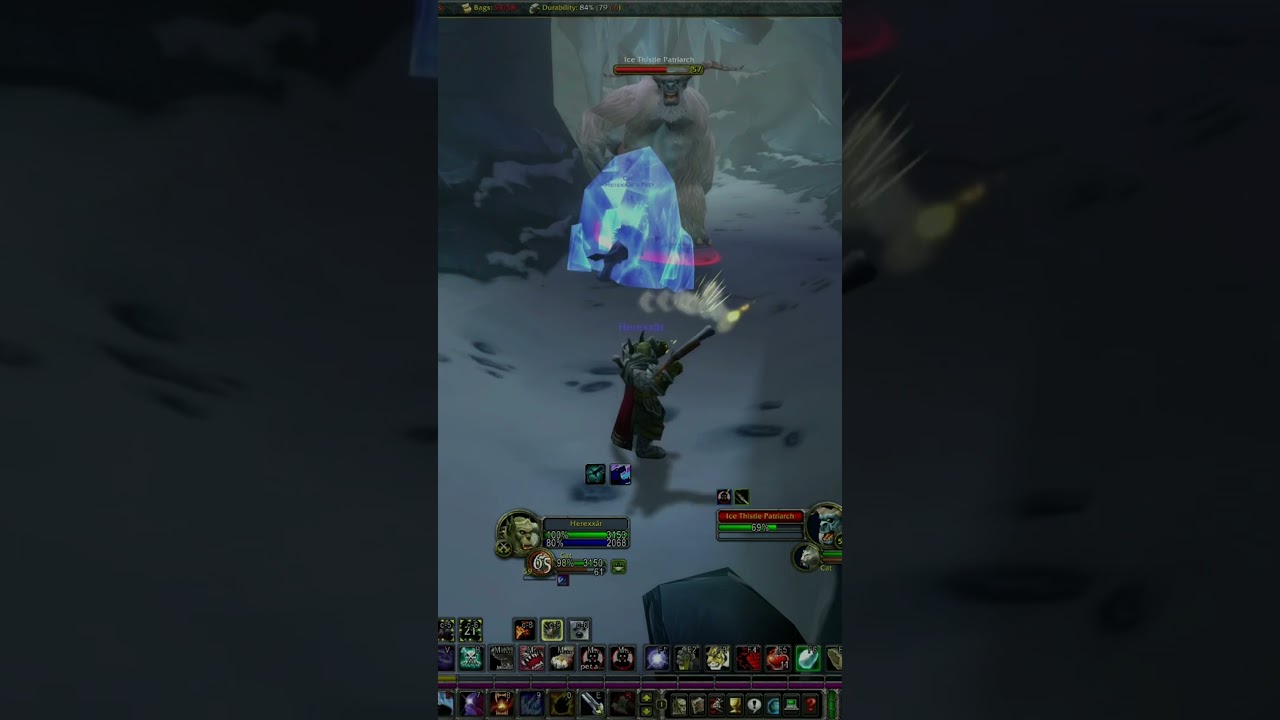 Hunter wow classic Hardcore 60 lvl ! (Ork BeastMaster)